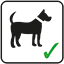 Dogs allowed