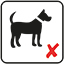 Dogs not allowed