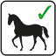 Horses allowed