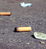 The issues - litter