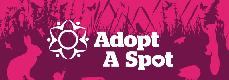 Adopt A Spot Northern Ireland